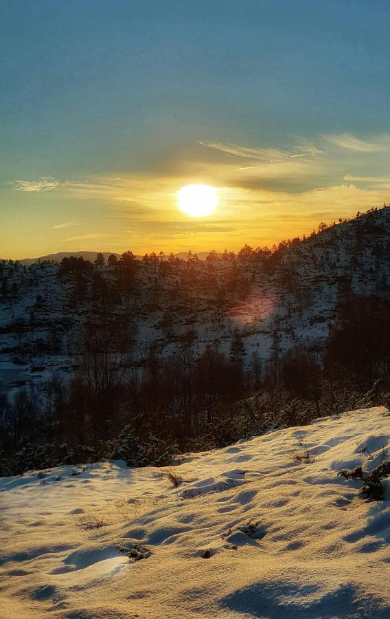 Apartmán Waerholmen Lavik  Exteriér fotografie